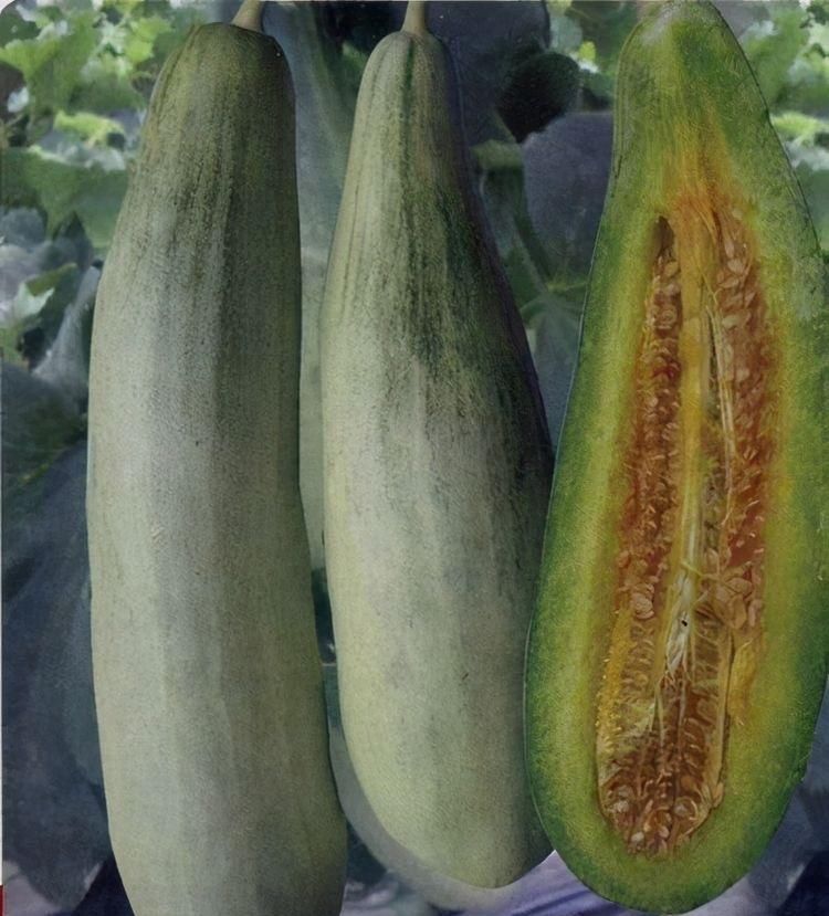 對(duì)身體不錯(cuò)的3種食物，堅(jiān)持每天吃一些，補(bǔ)充營(yíng)養(yǎng)，身體棒棒噠！