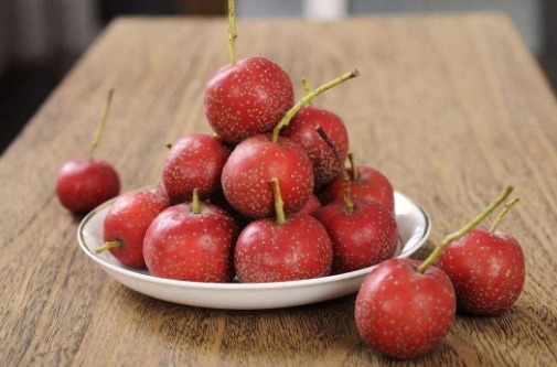 黄芪|枸杞搭配“一物”，连喝1周，健体强身，免疫力提高，把肾补满了