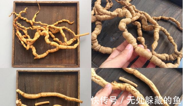 清香味|一碗可以喝了暖到脚的骨头汤,温补还营养,学会做给家人喝!