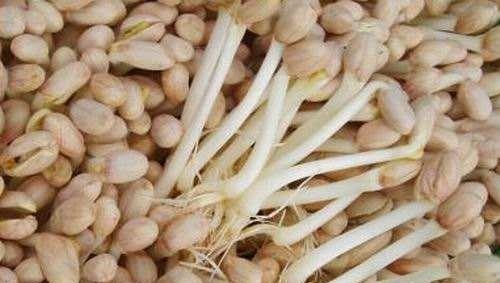 抗癌|经常吃花生芽可以抗癌营养师辟谣吃一种花生芽,反而有危险