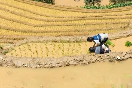 从边疆看中国：是一种不可忽视的历史视野