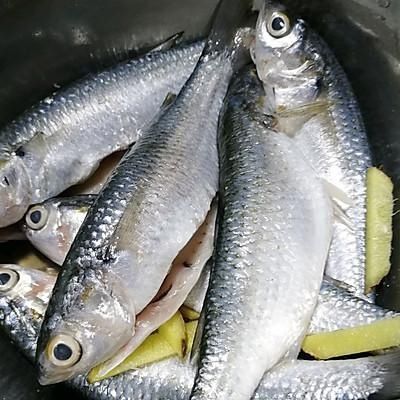 一上桌就被哄抢，这道香煎小鱼的诱惑我跪服