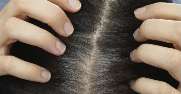 白头发|不论男女,过了55岁,如果有4种表现,恭喜,长寿的可能性较大