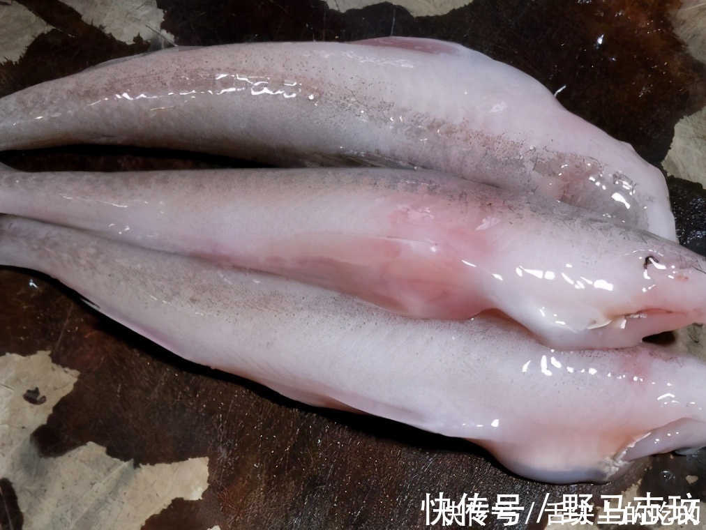 鱼肉|鲤鱼鲫鱼比不过,这3种海鱼才是“营养首选”!老板:会吃是行家