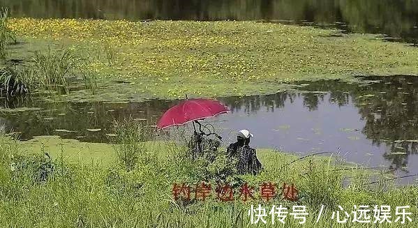 钓场|野钓找钓位就用这8招,用熟练了,不打窝子都能钓鱼