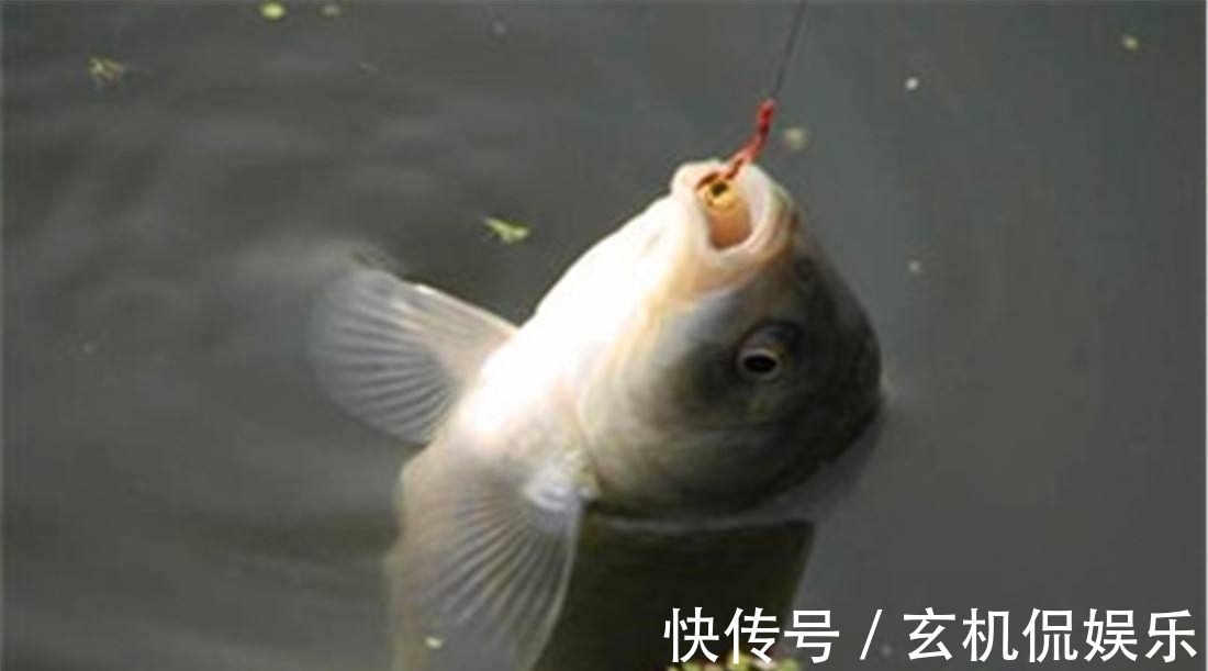 不打窝就不会钓鱼了?因时制宜,冬季不打窝怎么钓鱼?