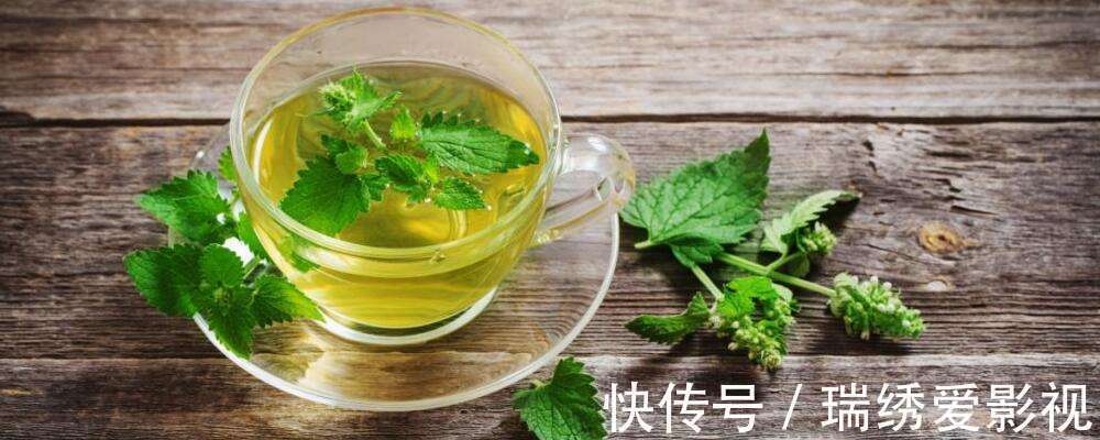 厕所再小，也要养盆吸味花，清除臭味、异味效果好