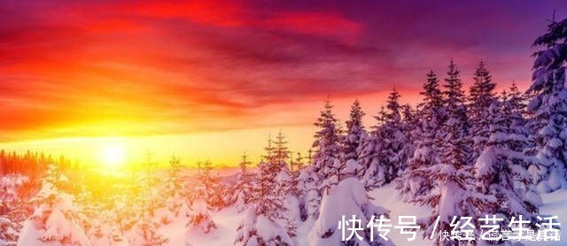 才女!林徽因水平很高的一首诗,短短几句隽永灵动,被称才女是有道理的