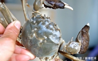 煮熟的螃蟹隔夜能吃吗 做好这点就没问题