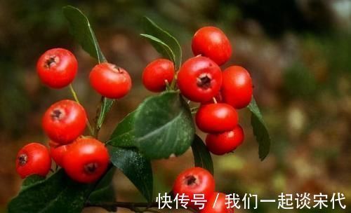 排毒|每天晚上坚持吃3种食物,健脾养胃,排毒消脂,增强体质