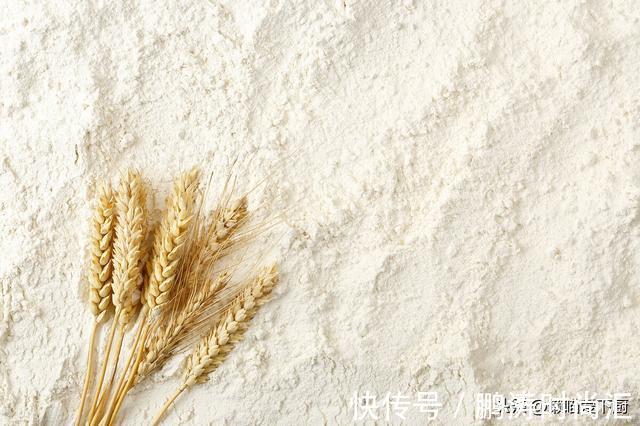 区别|“麦芯粉”和普通面粉有啥区别？做饺子该用哪种面粉？涨知识了
