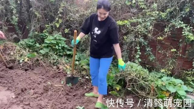 刘国梁|郭斌第一次见世界冠军王楠:你有男朋友吗?赶紧分了