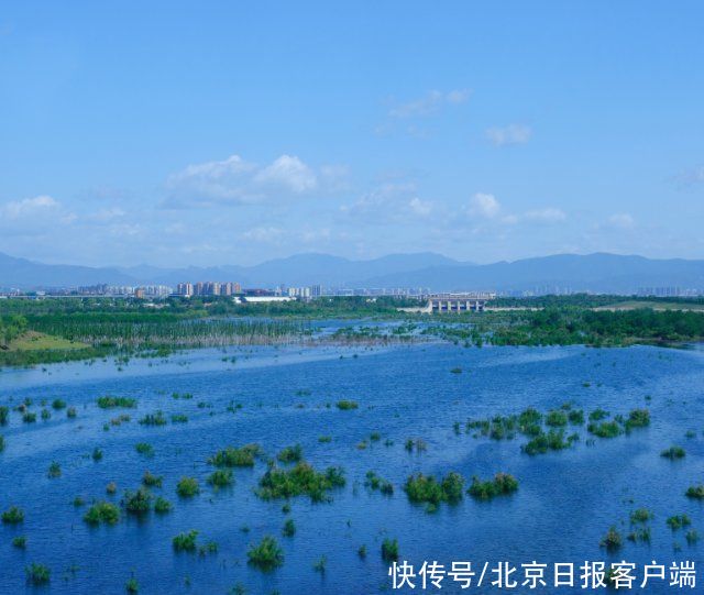 永定河|大美永定河！湿地串起生态明珠