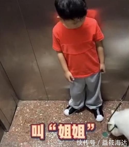 阿姨|阿姨我能摸下这个狗狗吗女叫姐姐,萌娃改口后笑翻众网友