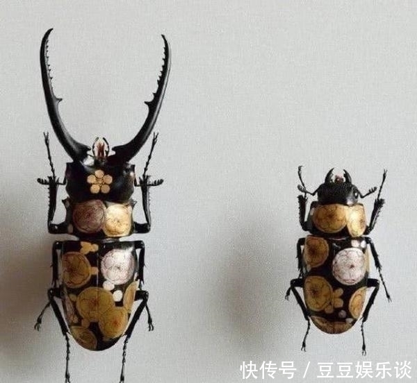 螳螂@美术大神太无聊,昆虫身上画小画,看到莲花螳螂,这脑洞绝了!