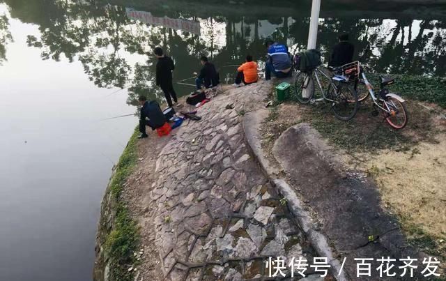 钓鱼|不能钓鱼的8个原因都很吸引人总是有一个适合你的