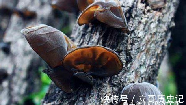 排毒|女性不想变老,常吃3种食物,美容养颜,补血养血,促进排毒