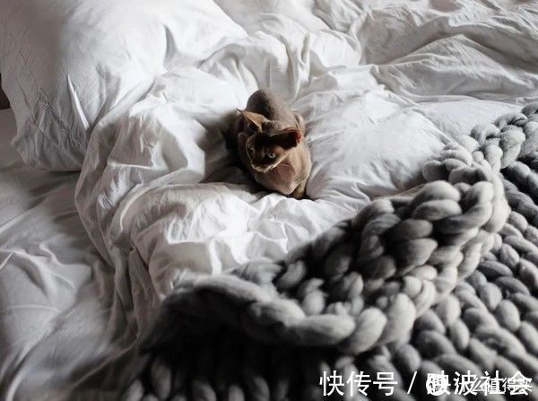 屋主|妈见打的“装修风”｜136㎡工业风，满屋混凝土墙，却真的好看！