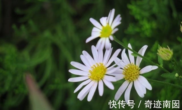 财神爷|1月下旬，财神爷关照，开了后门，3大星座财自八方来，好运连连