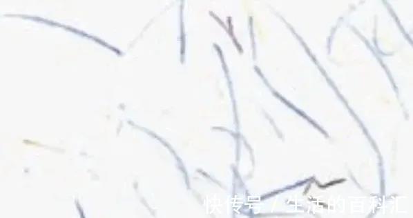 k十岁前号称自己刷牙的娃,都是刷了个寂寞