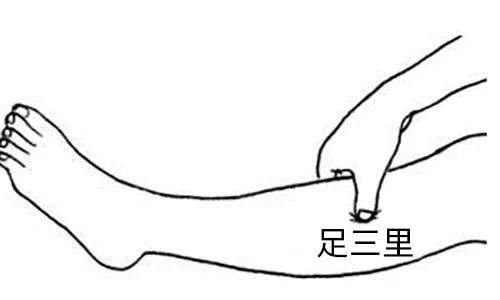进补|冬季养生进补时，虚不受补怎么办？
