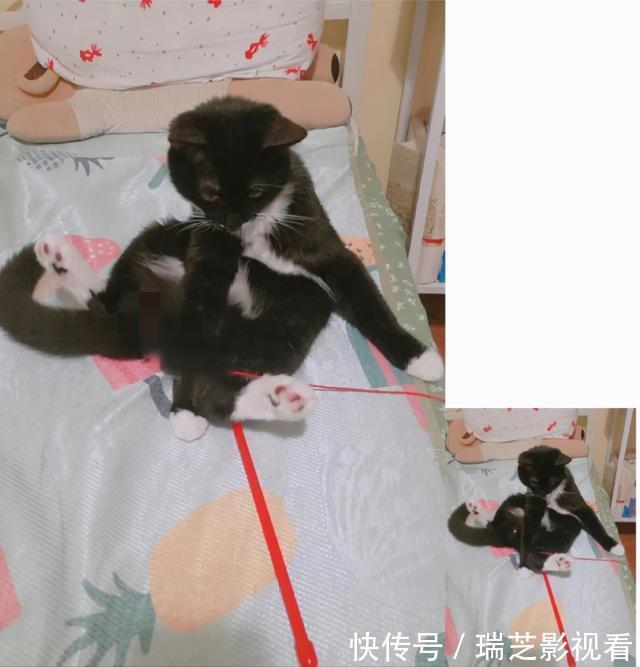 打马赛克就安全了吗?AI消除马赛克,上线三天收获近7000星