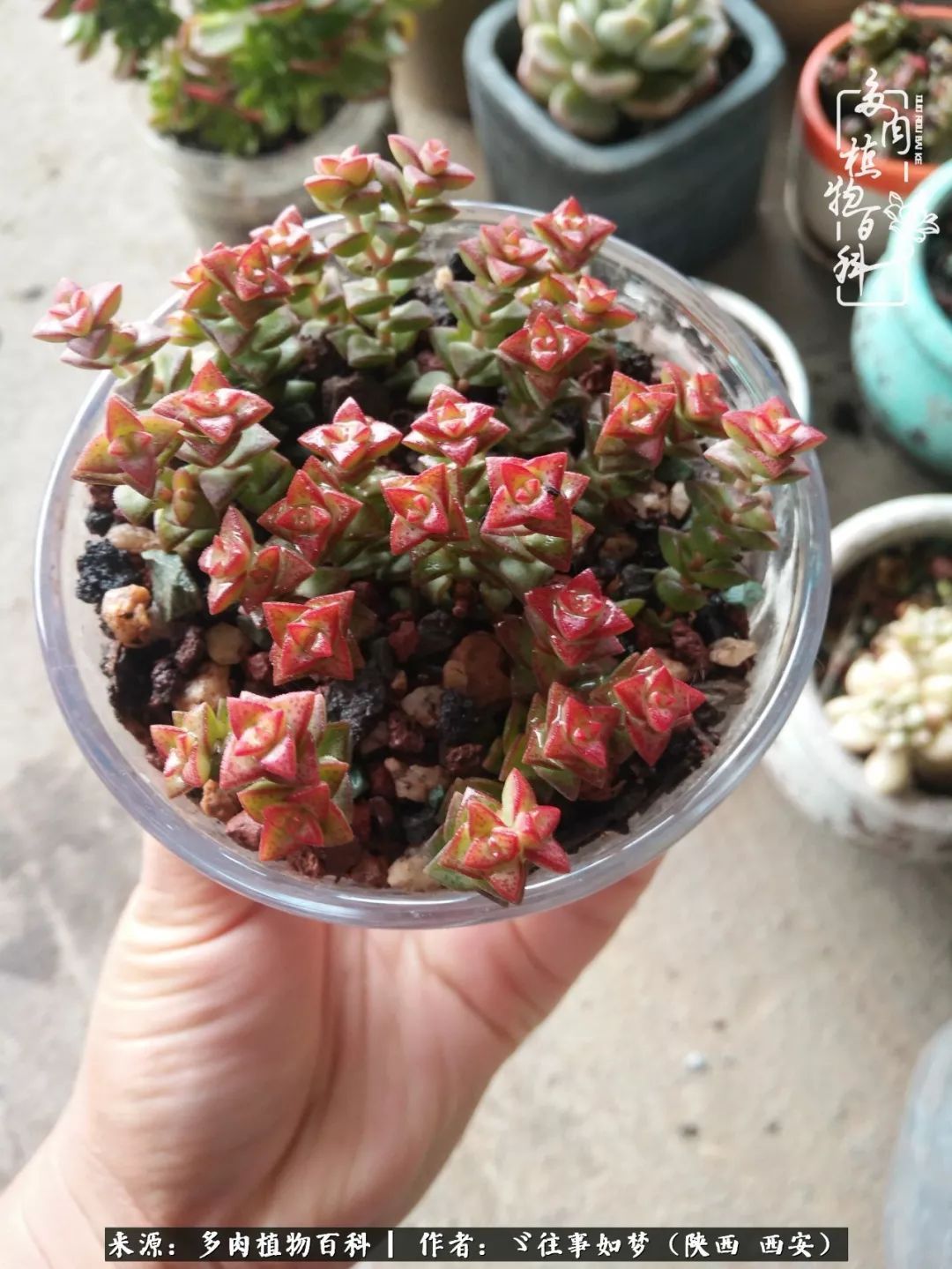 愿你付出甘之如饴,愿你所得归于欢喜!