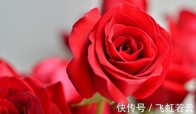 金牛|10月迎来大富贵,鸿运当头,家中添福又添财的4大星座