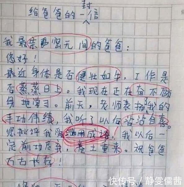 小学生为凑字数“硬塞”成语，语文老师别说是我学生，太有才