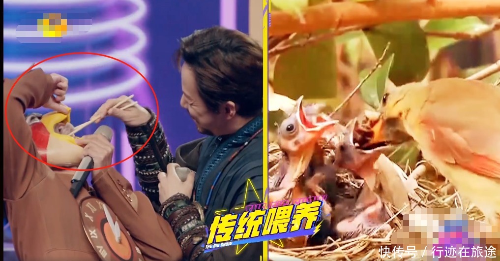 绿巨人|太好笑了,求求节目组,千万别让他做“人”了