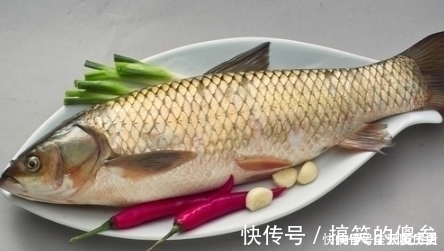 腊鱼|腌腊鱼时,掌握“4要点”,腊鱼鲜香入味,久放不坏,越放越香!