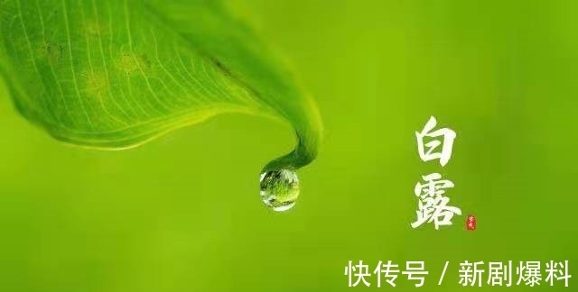 郑玉玲|白露诗词:人间最美是白露,祝君岁岁长安康