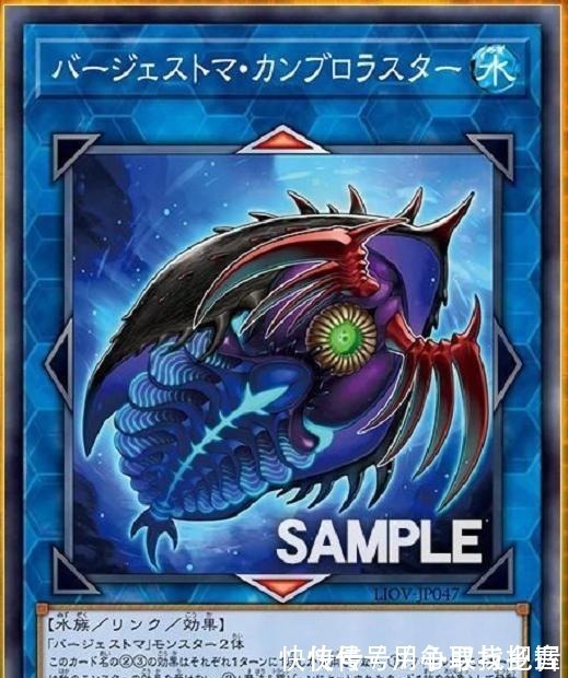 卡牌|游戏王海贼王迎来水属性船只,而双子陷阱卡可与虫娘配合