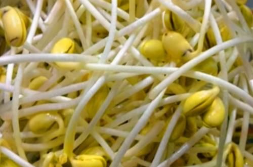 女性不想顯老，不妨多吃此物，延緩衰老，肌膚細(xì)膩，不妨一試