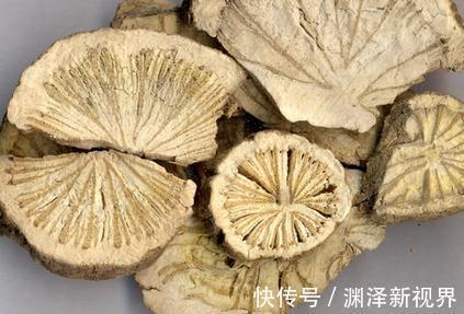 猪苓|中医入门8种祛湿利水中药,除湿气,消水肿的好手,一次讲清楚