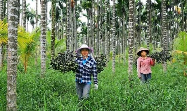  口感|中国长寿之乡，这里咖啡堪比茅台，口感不逊色于欧洲