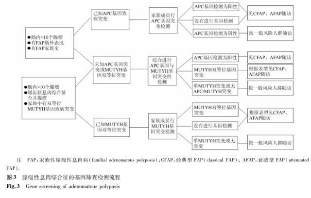 遗传性|这些人，更要进行结直肠癌筛查...甚至10岁就开始