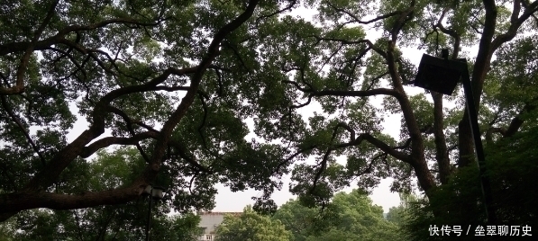 苏洵|苏东坡:回首向来萧瑟处,归去,也无风雨也无晴