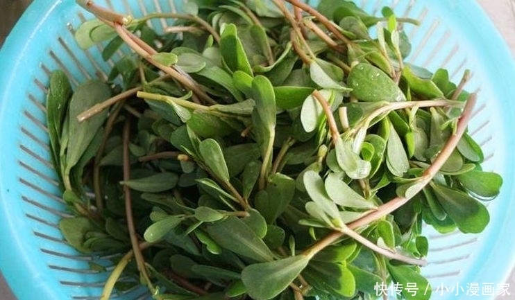 谁吃谁好的食物,没事坚持吃,提高抗病能力,延缓衰老,更有活力