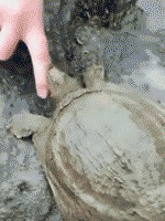 |搞笑GIF:妹子这笑容,我相信所有的不开心都会烟消云散的