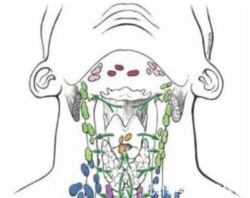 淋巴结|手术后癌症病人怎么知道肿瘤是不是切干净了？