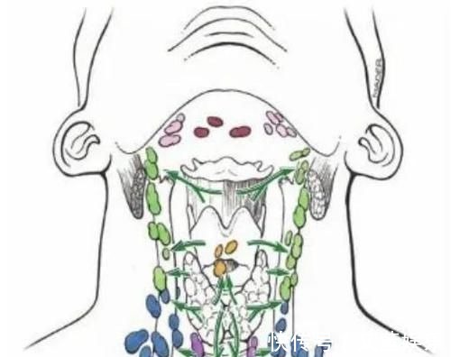 淋巴结|手术后癌症病人怎么知道肿瘤是不是切干净了?