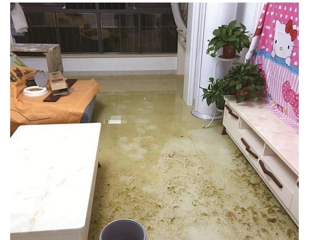 楼层|4楼，8楼，18楼不能买建筑学家真正不建议购买的是4个楼层