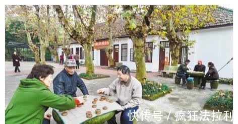 住户|没买过房的人,基本都不会注意到,大型社区和小型社区的区别