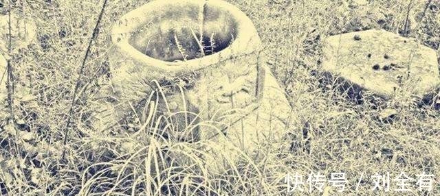 读首诗!读首诗再睡觉|我多次从这木棉树下经过,夕阳只是借过一种唯美