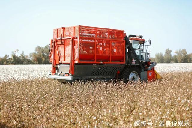 中年|苏州女子探秘南疆巴州:这是一处色彩的世界,超出你的想象