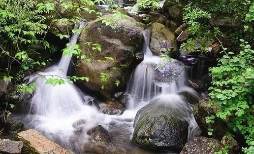 一场春雨过后，三清山开始绿了！