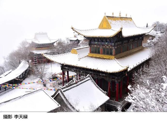 卧龙|在卧龙寺，听雪落下的声音