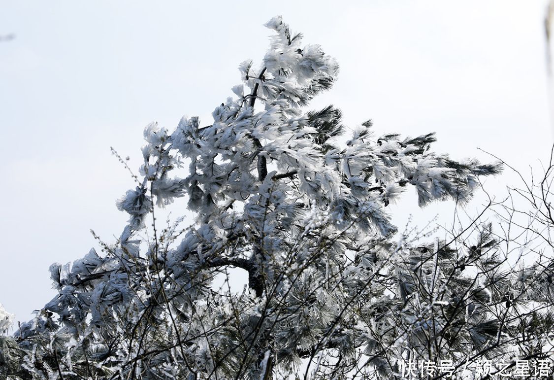 黄泥浆岗|宁波第二高峰，雪国风光，雾凇奇观