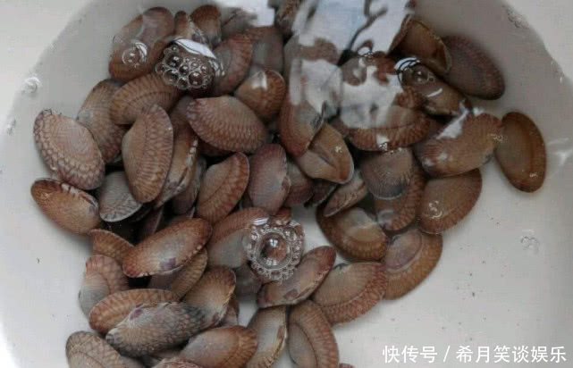 花甲|花甲别光用清水洗了,少了这“3样”,沙清洗不干净还影响口感!